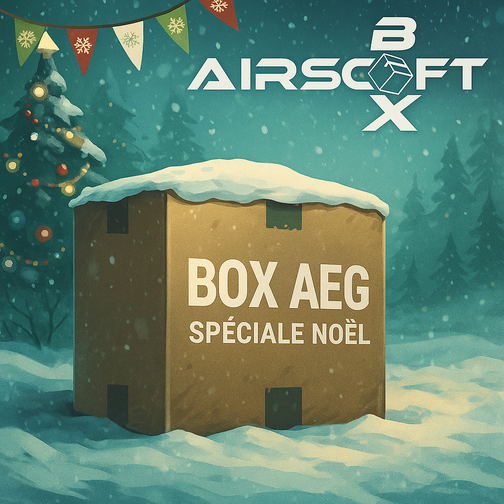 Box AEG de Noël 2025